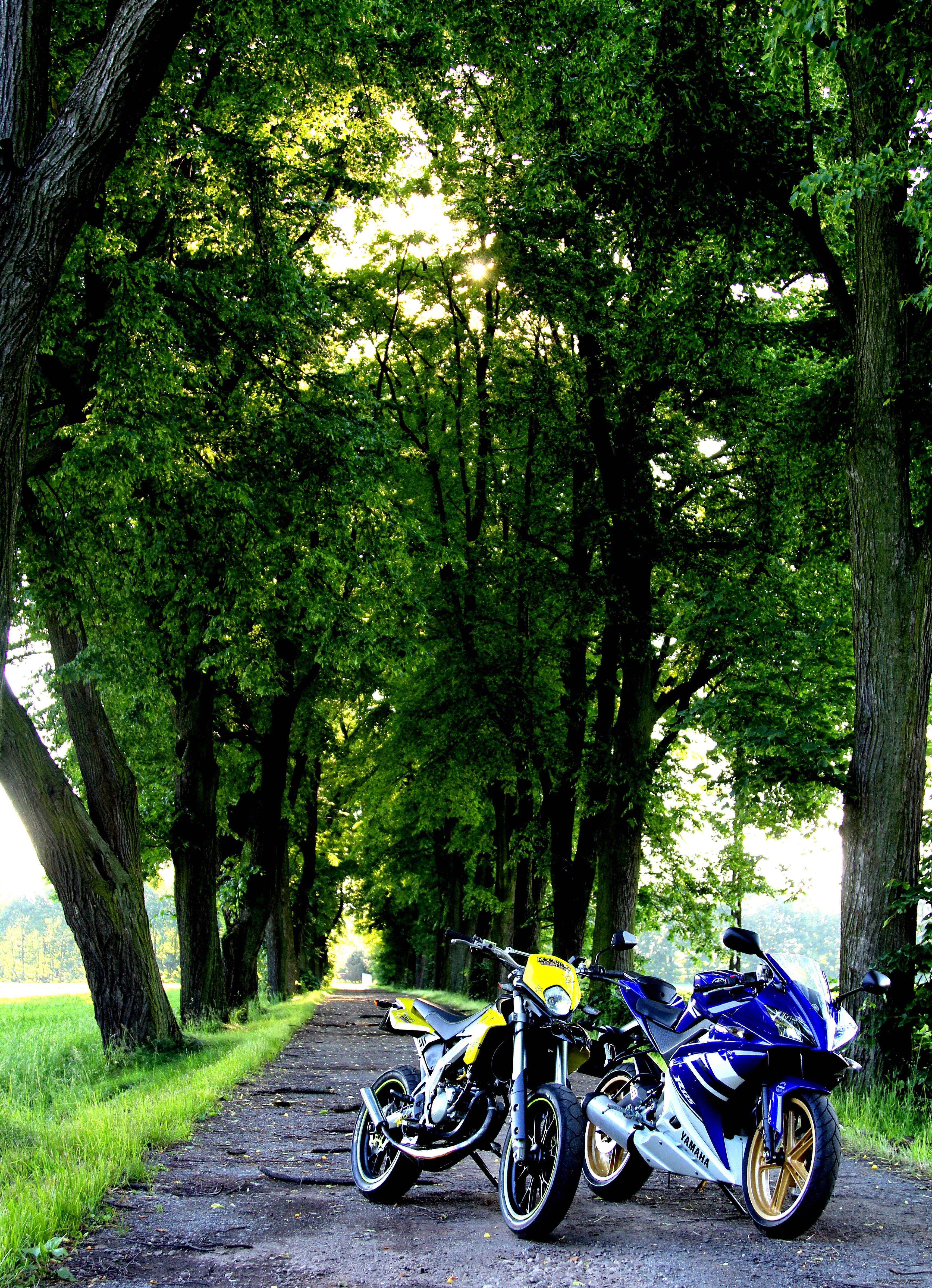 Photo 2566109
