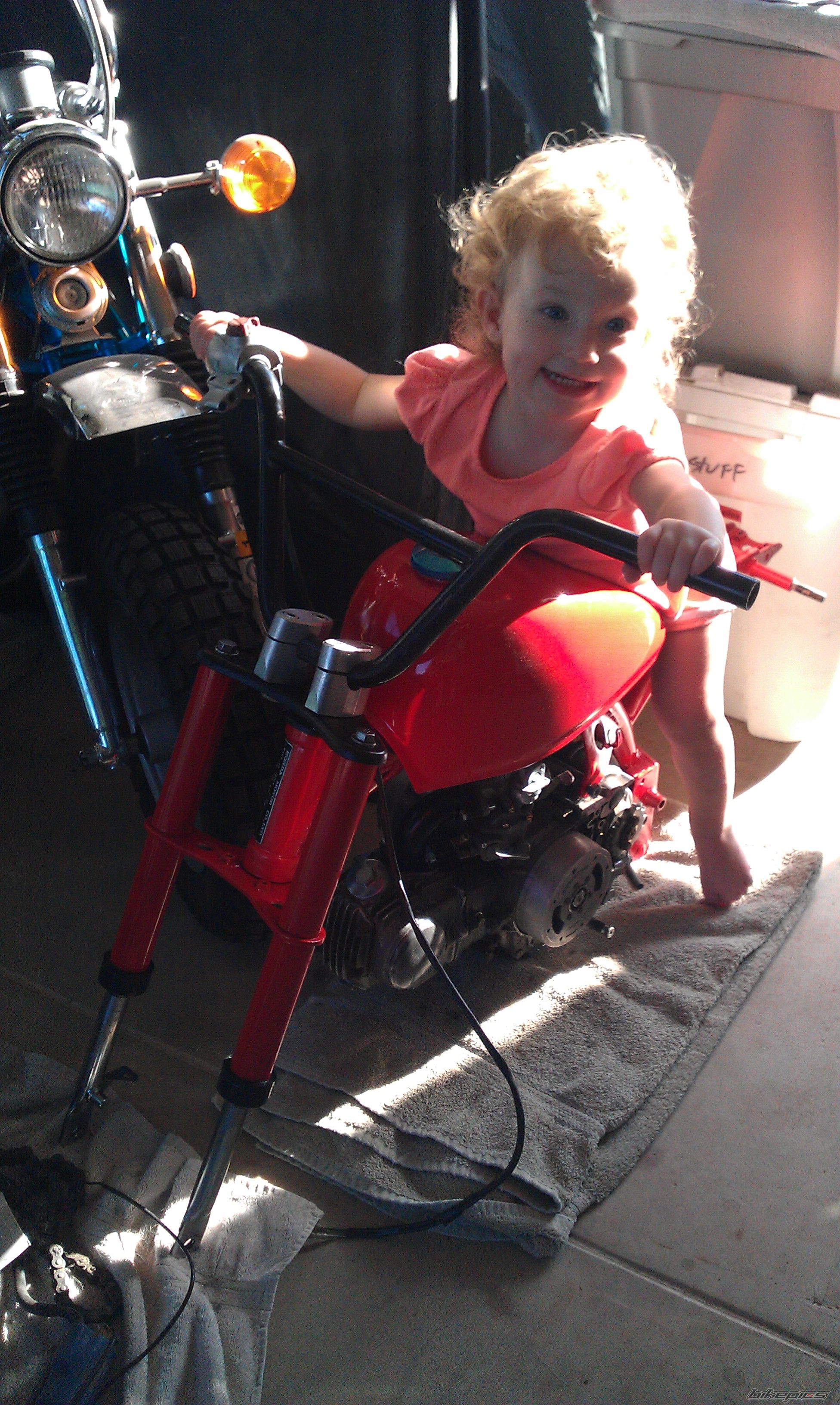 Photo 2566153