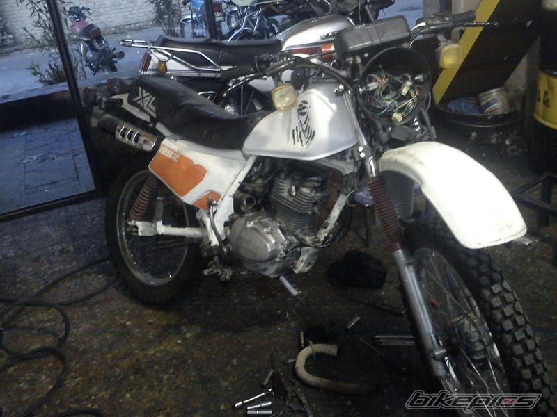Photo 2566186