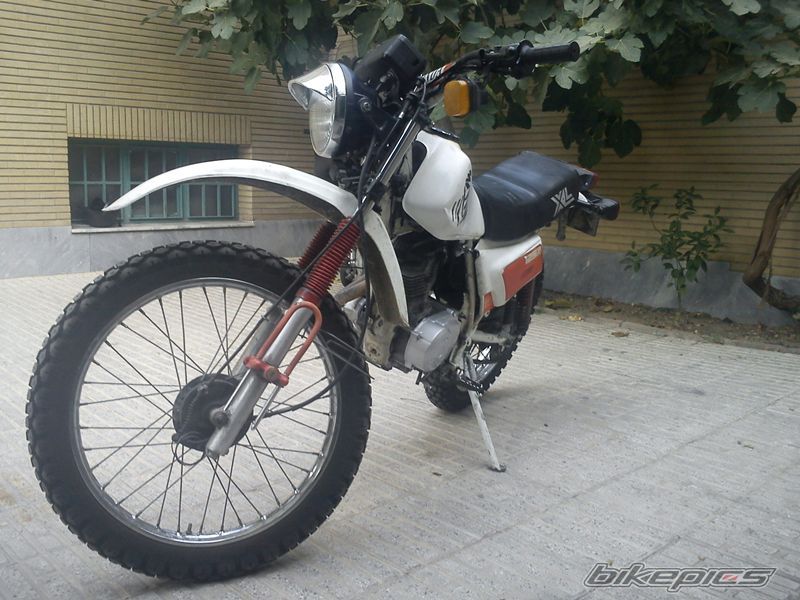 Photo 2566188