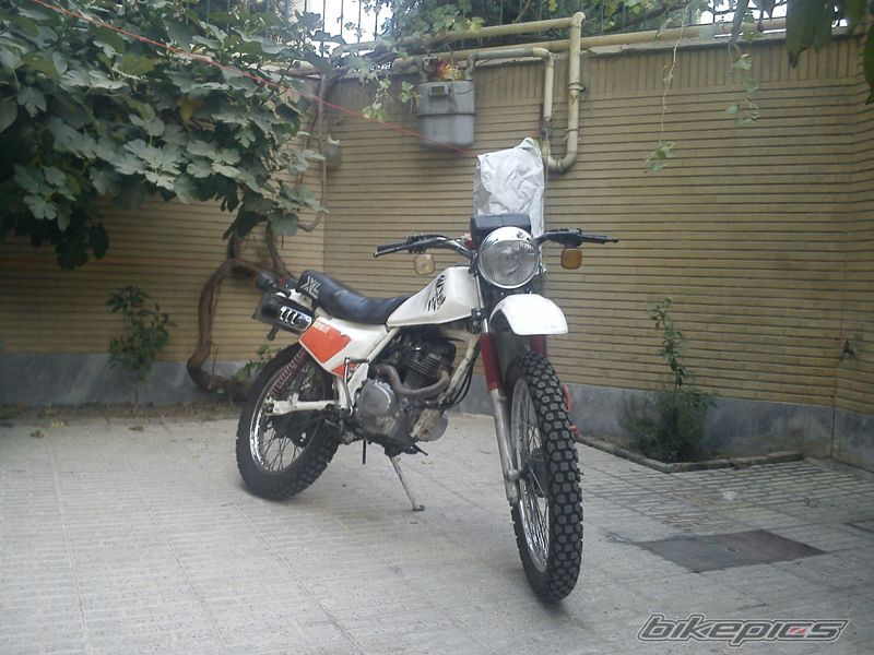 Photo 2566189