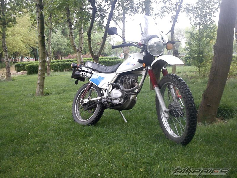Photo 2566194