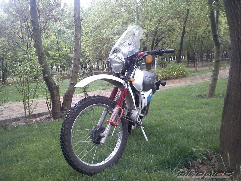 Photo 2566196