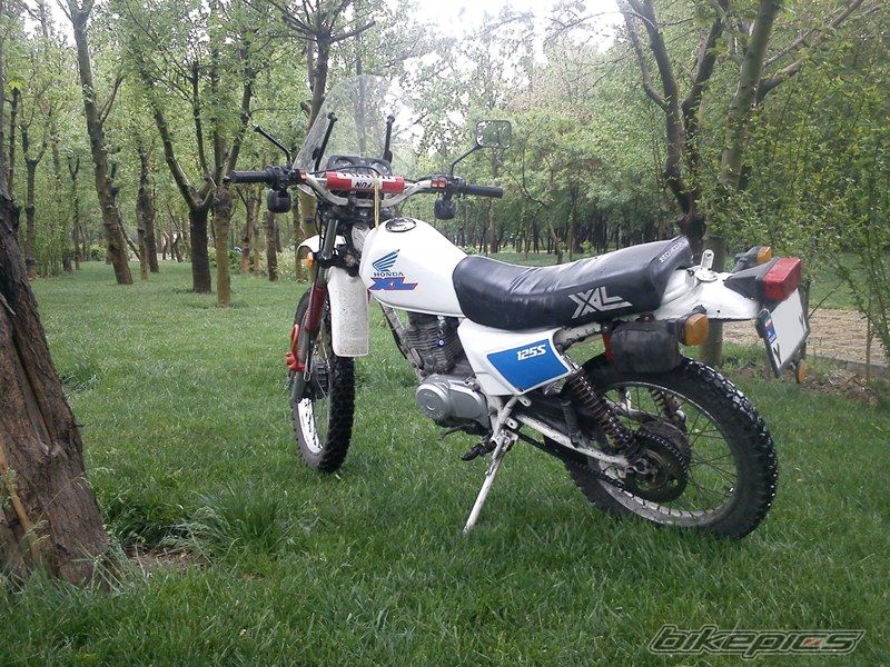 Photo 2566197