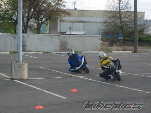 Photo 256620
