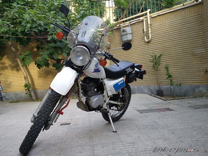 Photo 2566209