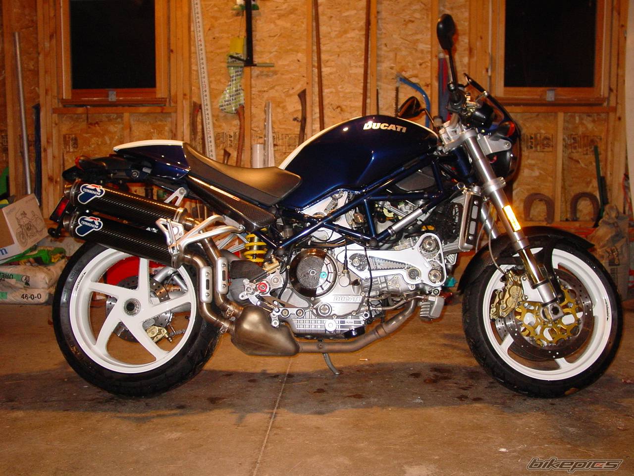 Photo 256621