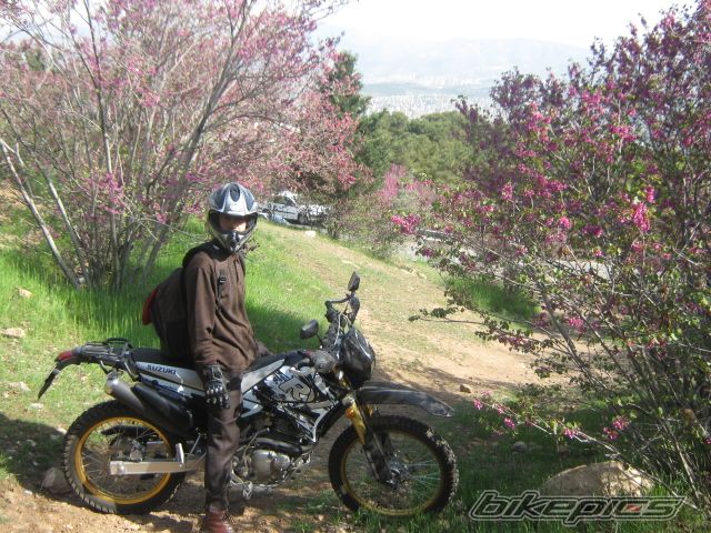 Photo 2566230