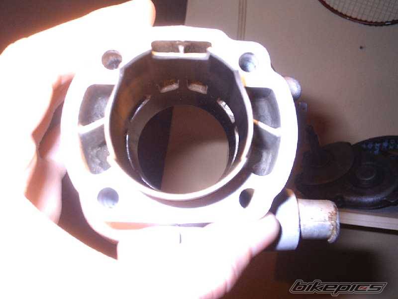Photo 256626