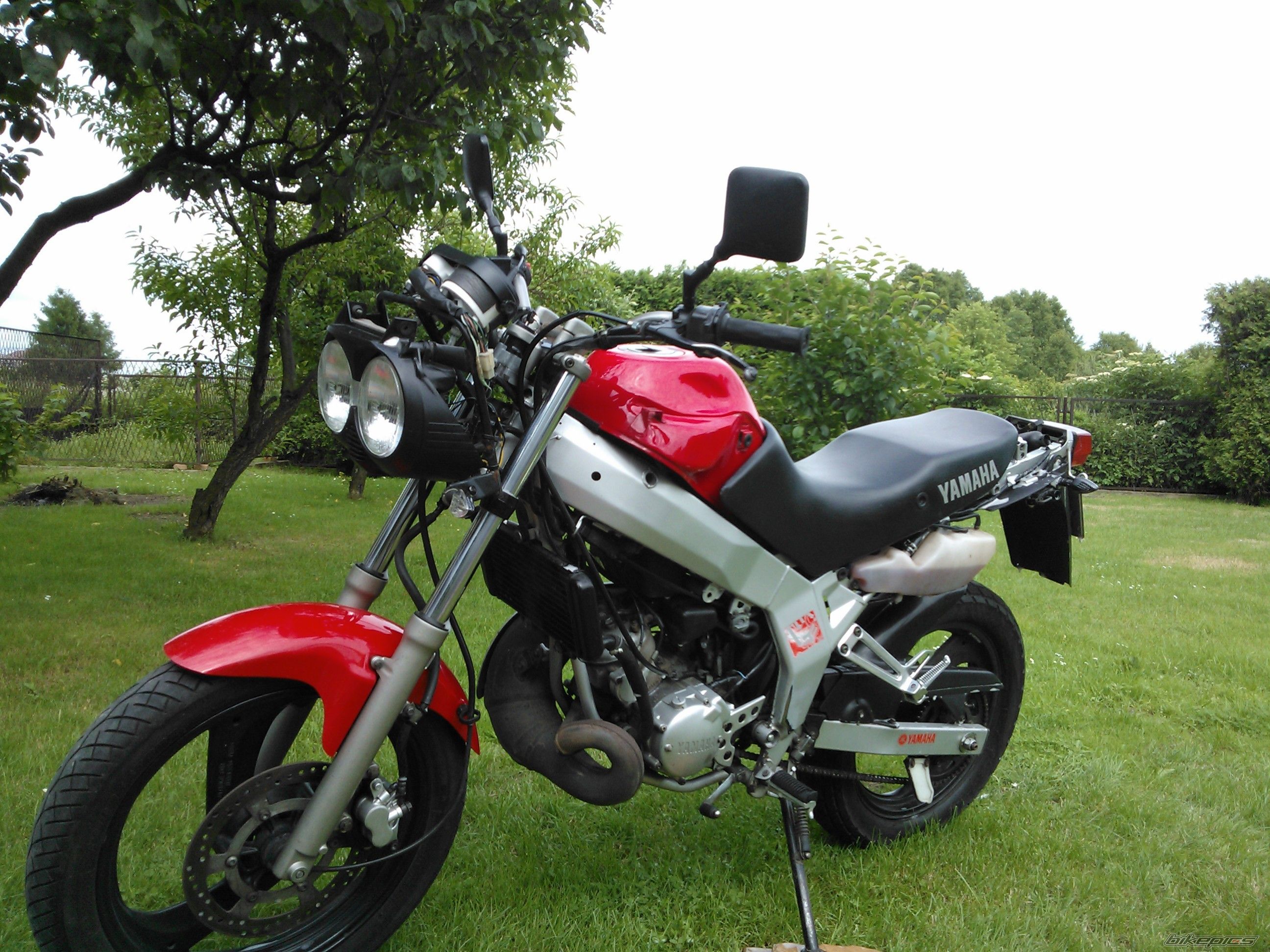 Photo 2566285
