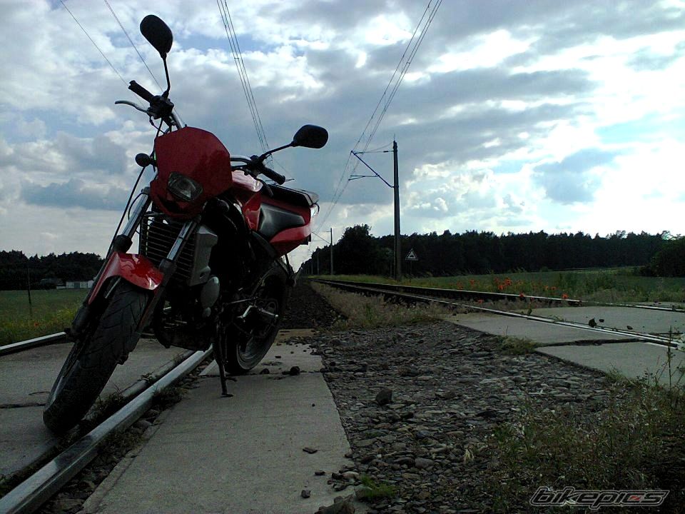 Photo 2566323