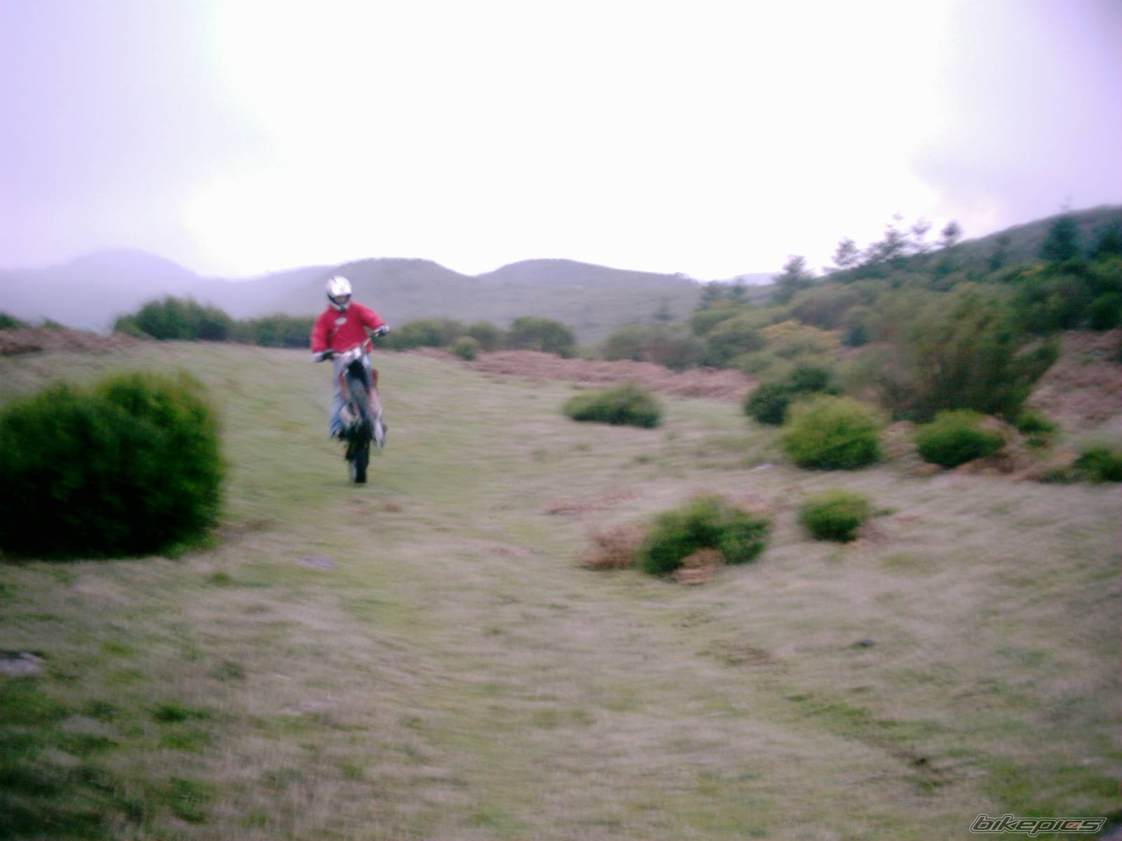 Photo 256642