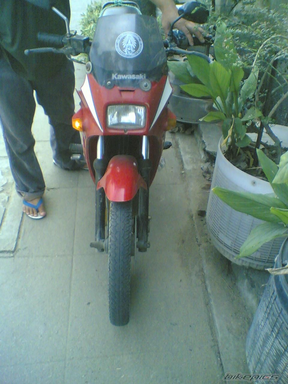 Bike Photo 2566455