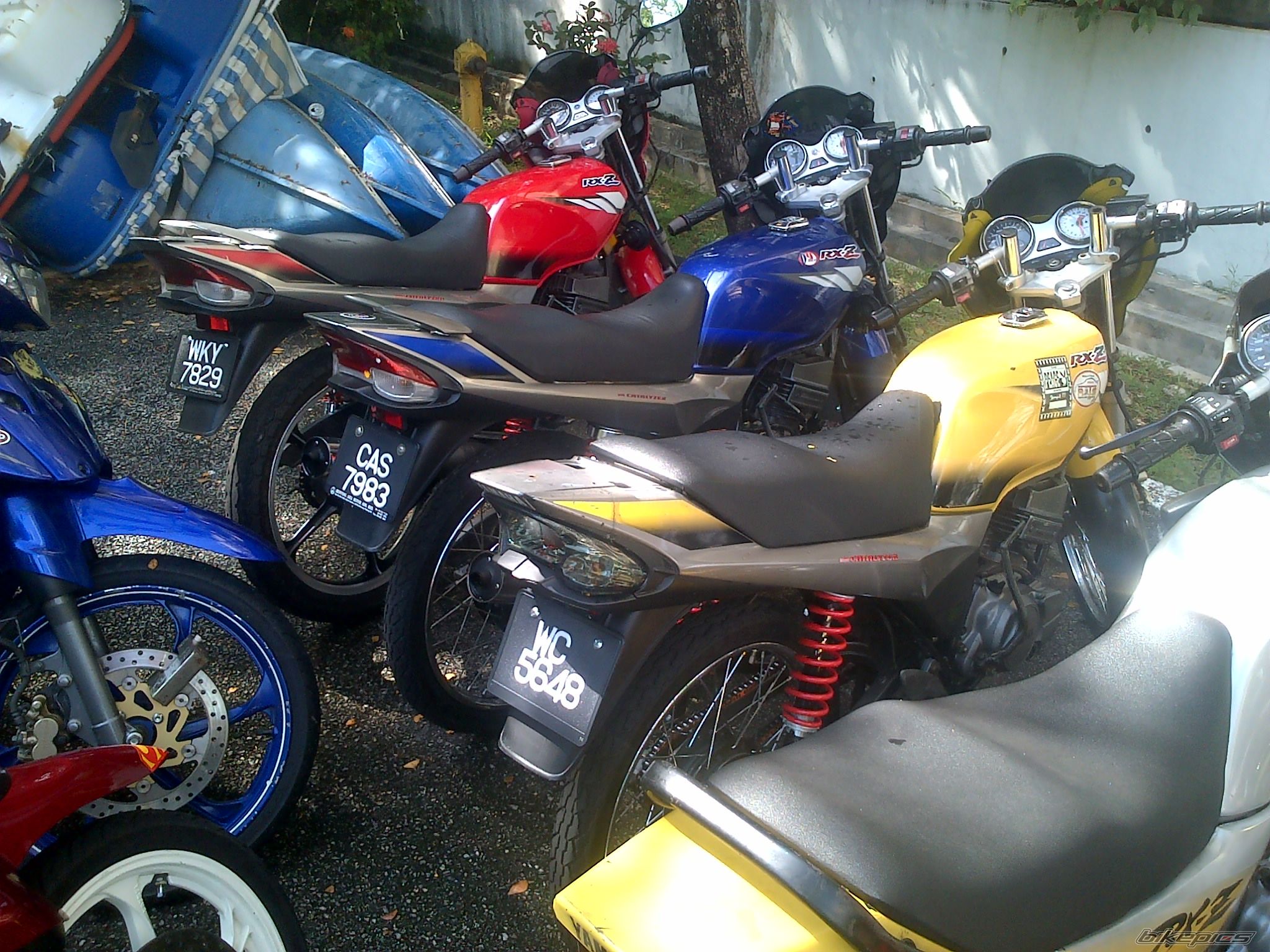 Photo 2566501