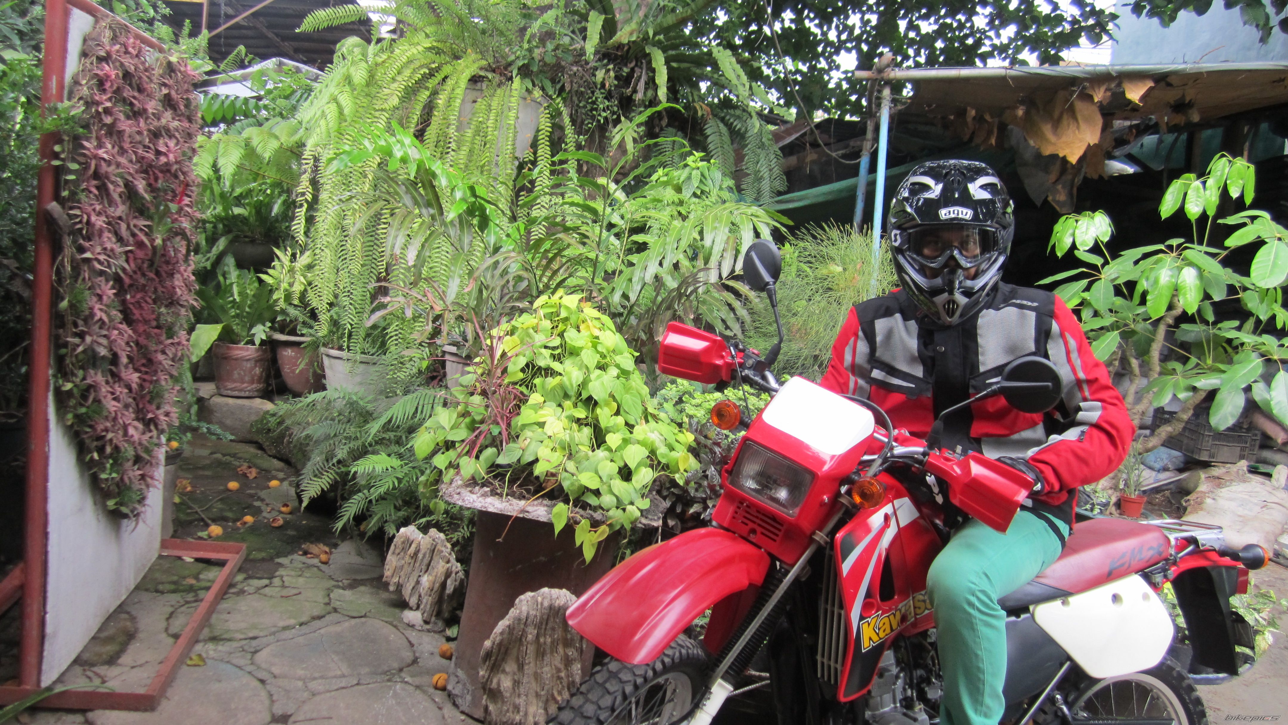 Photo 2566504