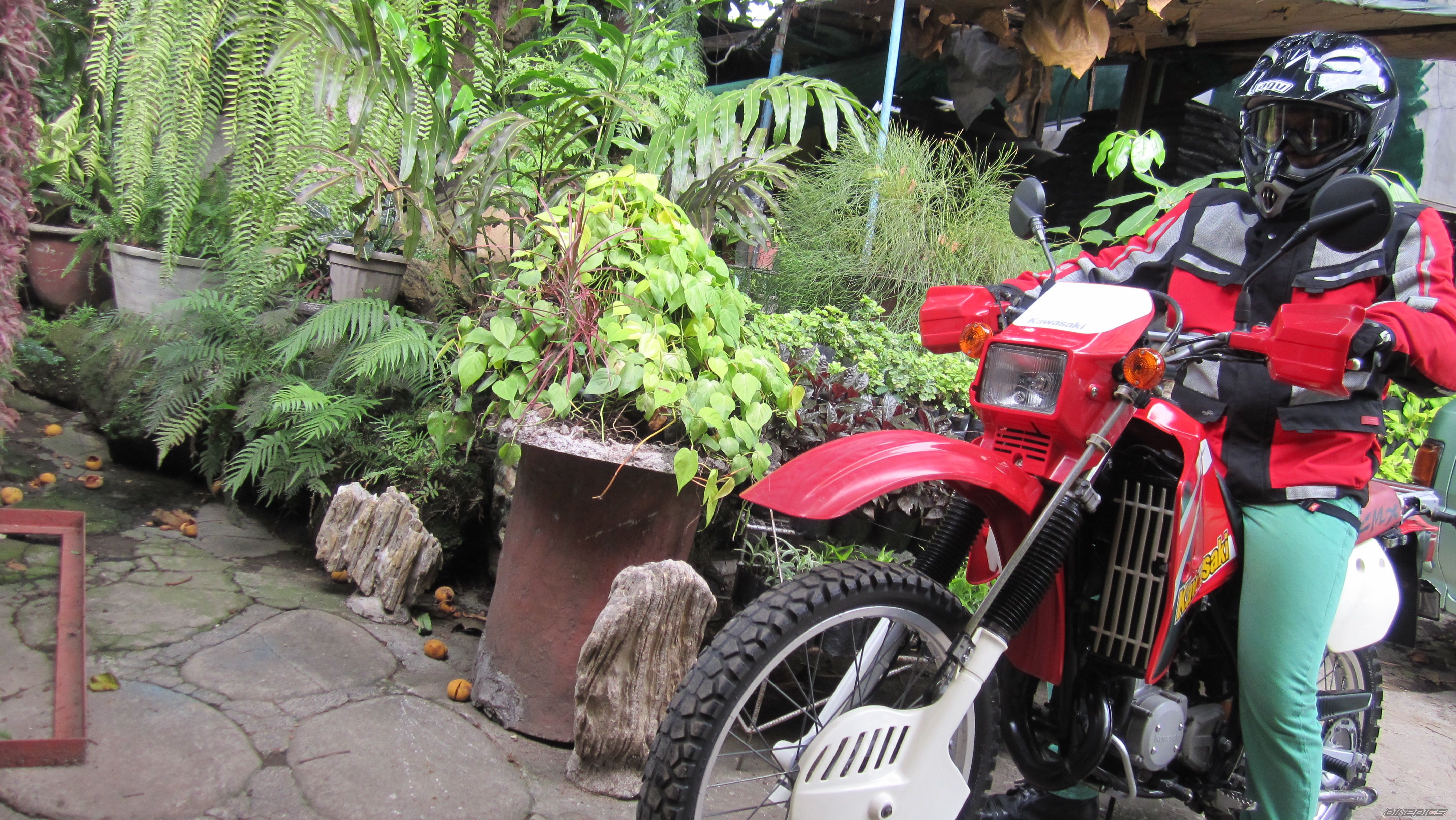 Photo 2566505