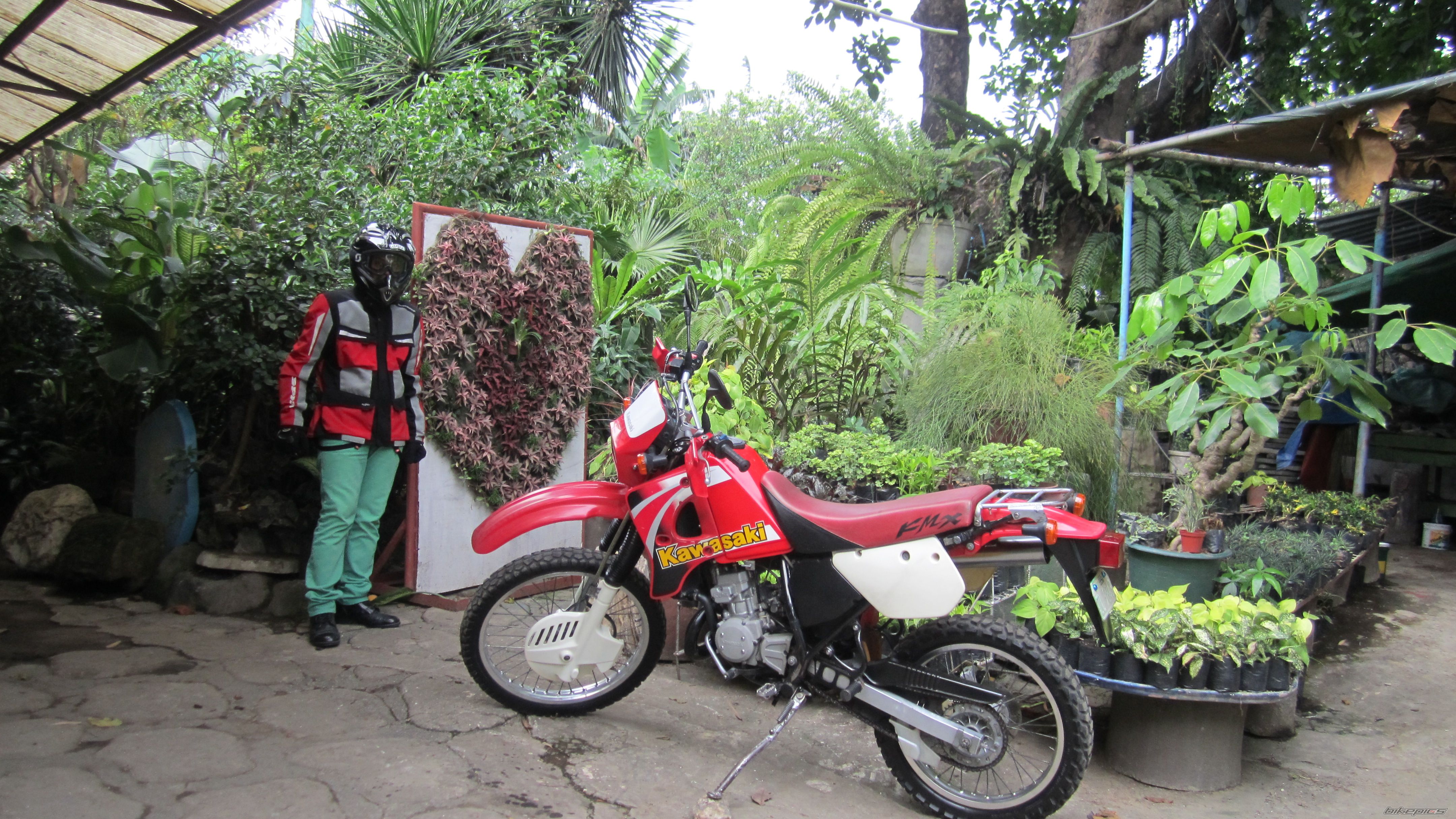 Photo 2566508