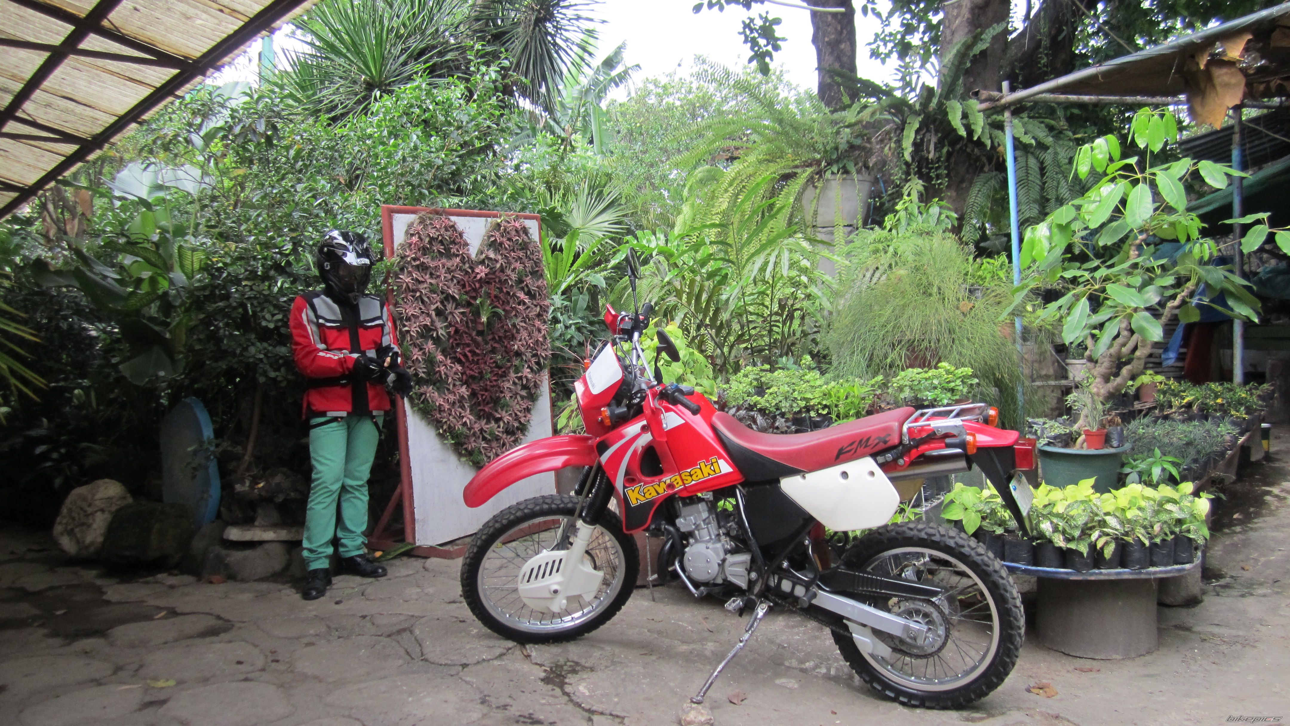 Photo 2566509
