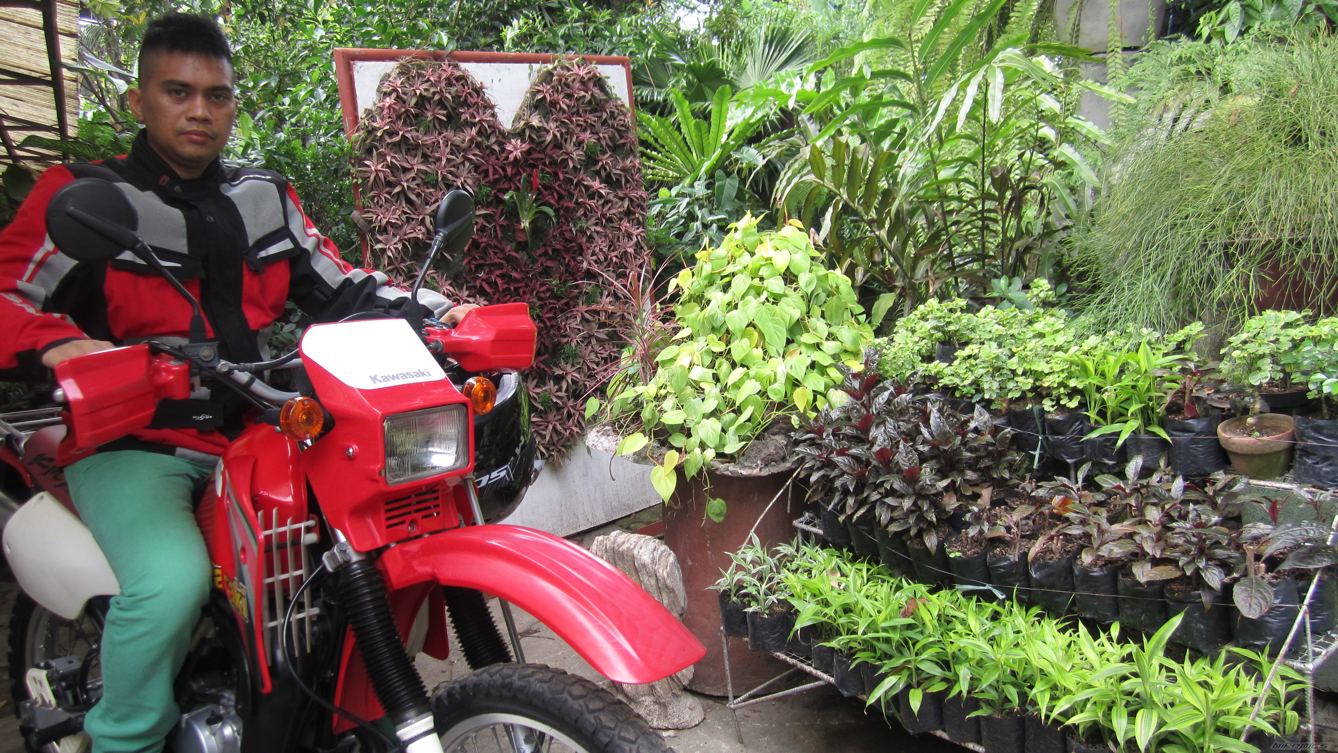 Photo 2566520