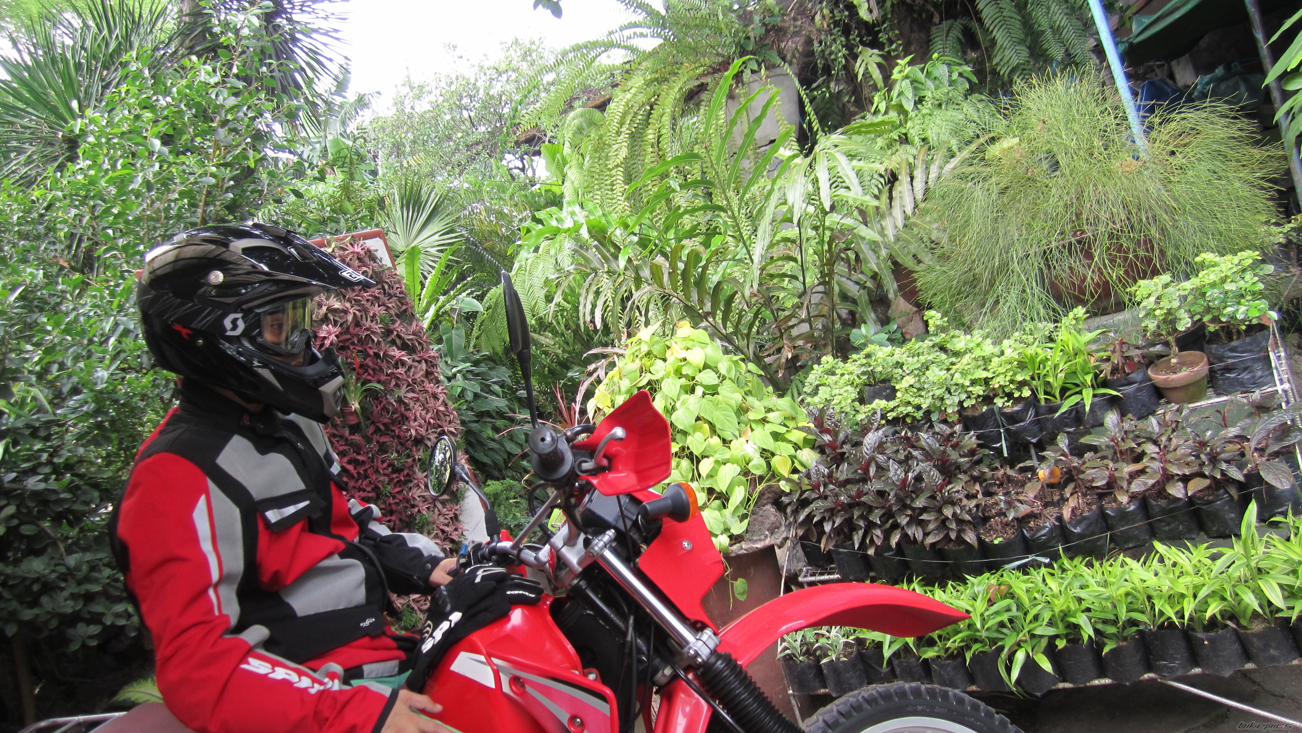 Photo 2566522