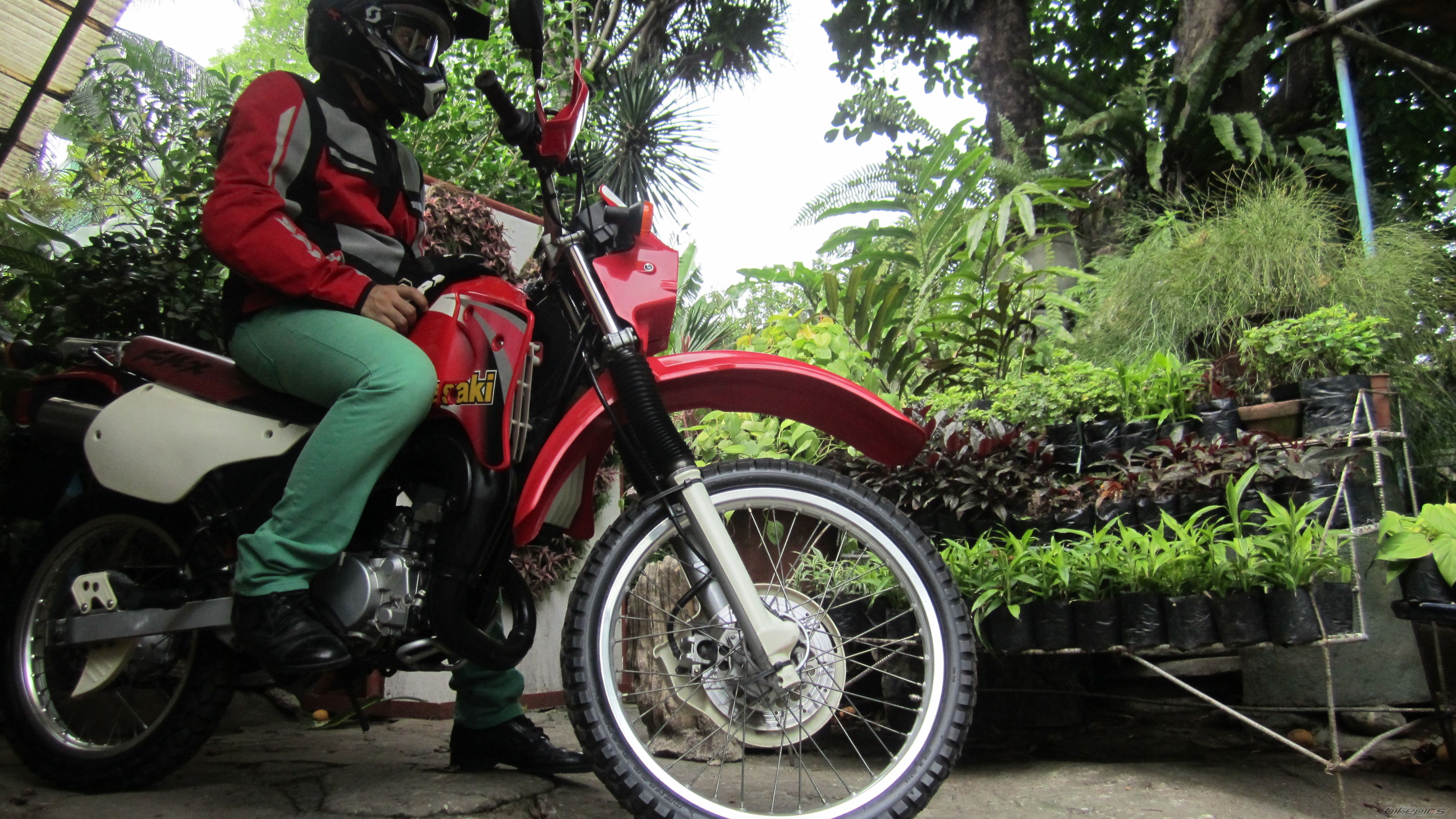 Photo 2566524