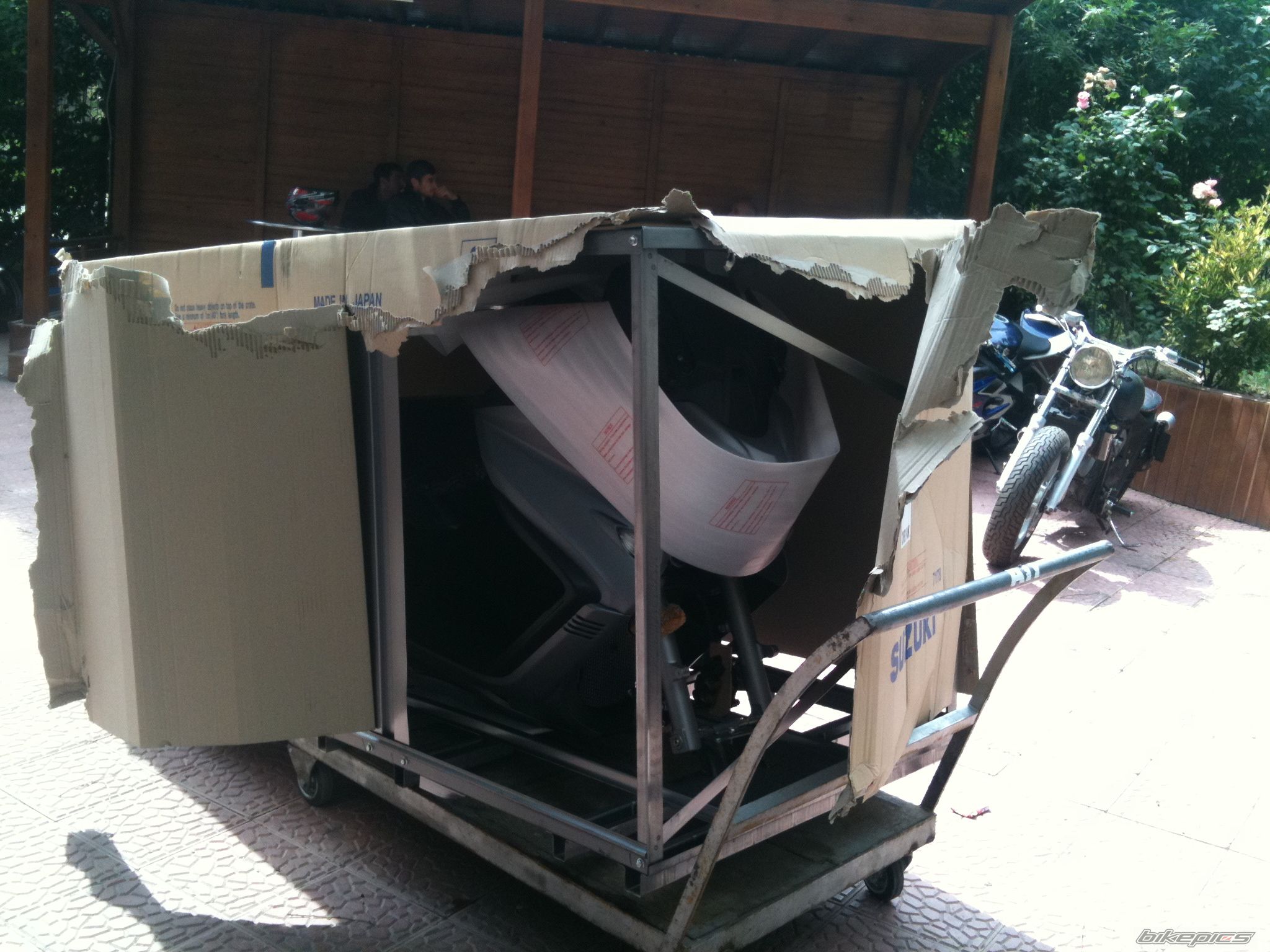 Bike Photo 2566528