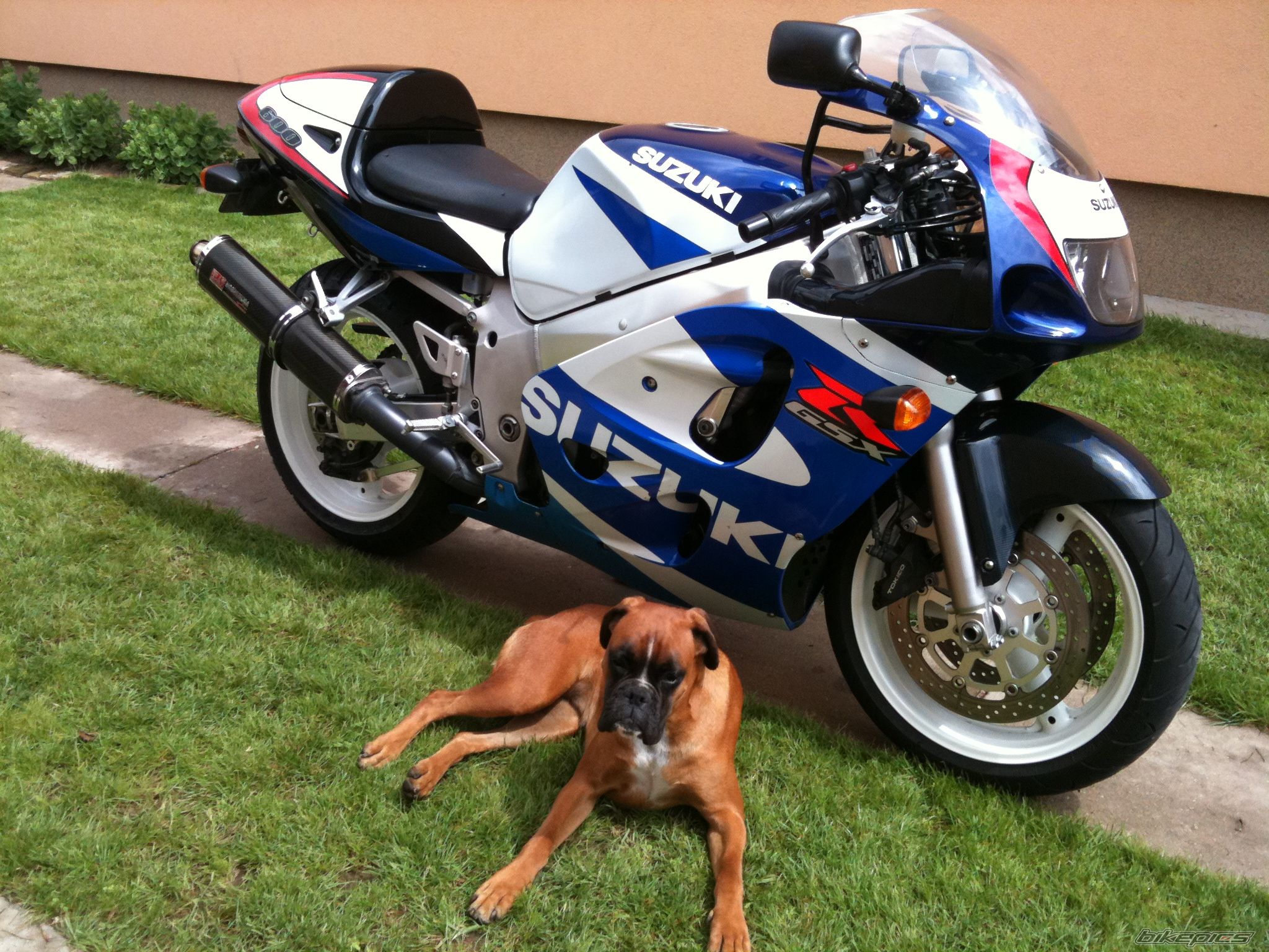 Photo 2566591
