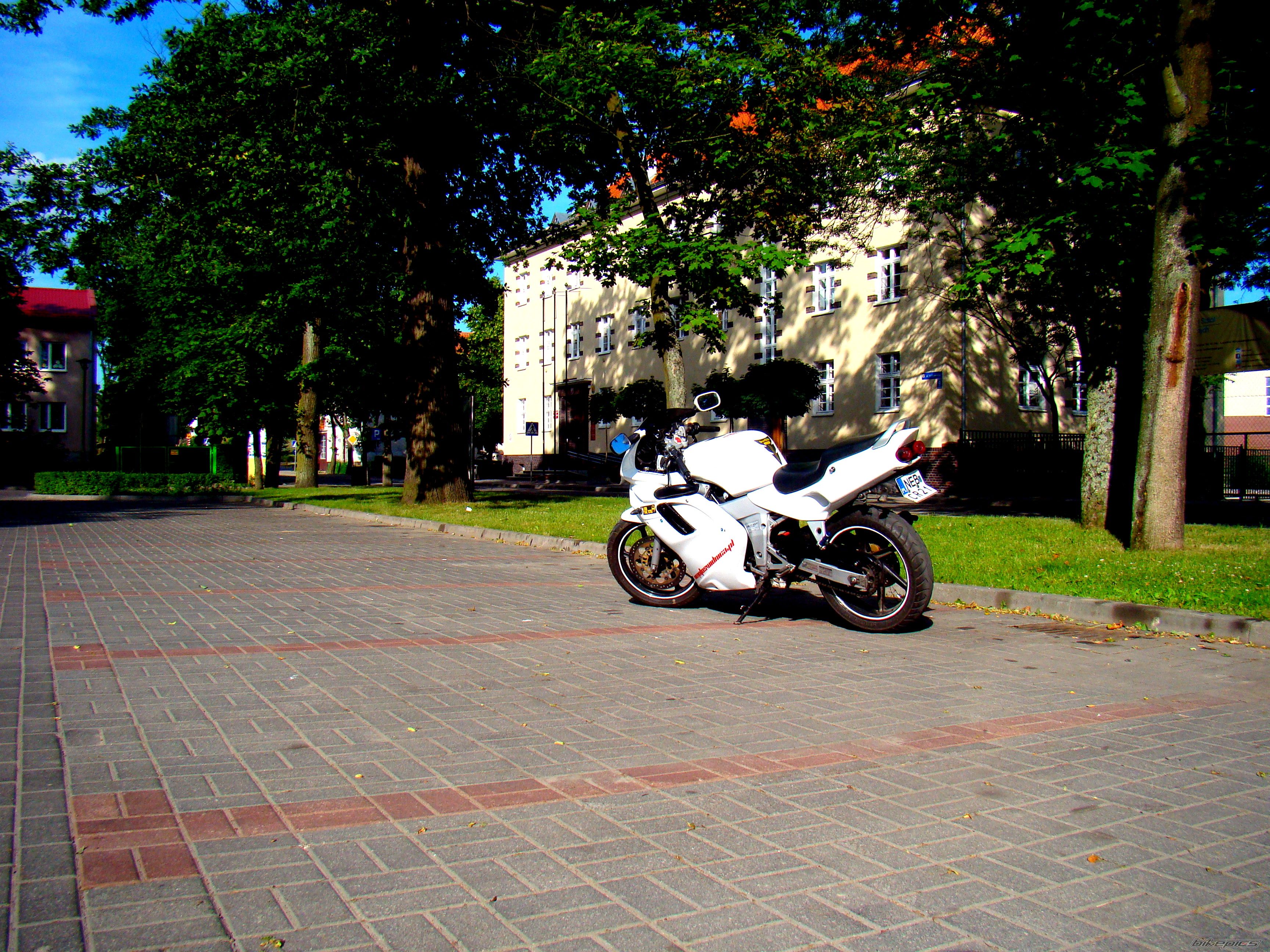Photo 2566635