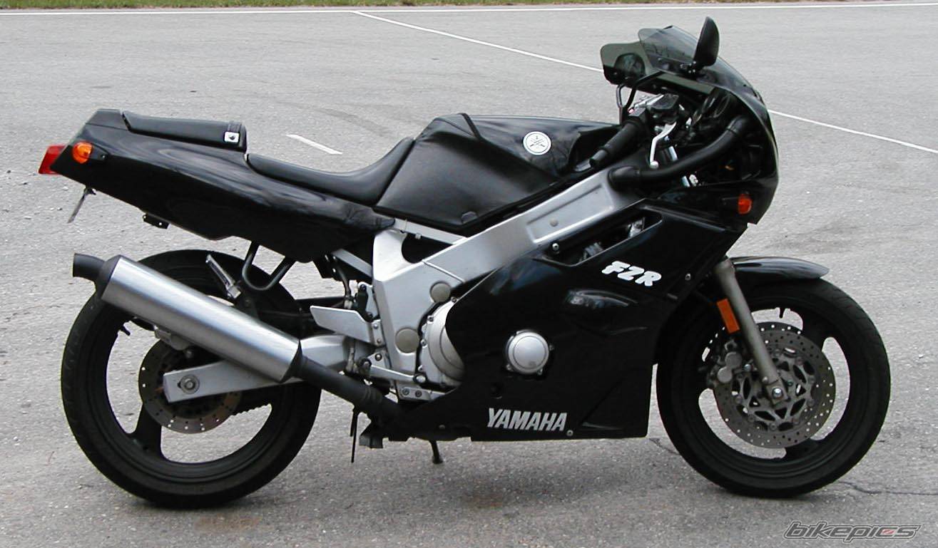 Photo 256678