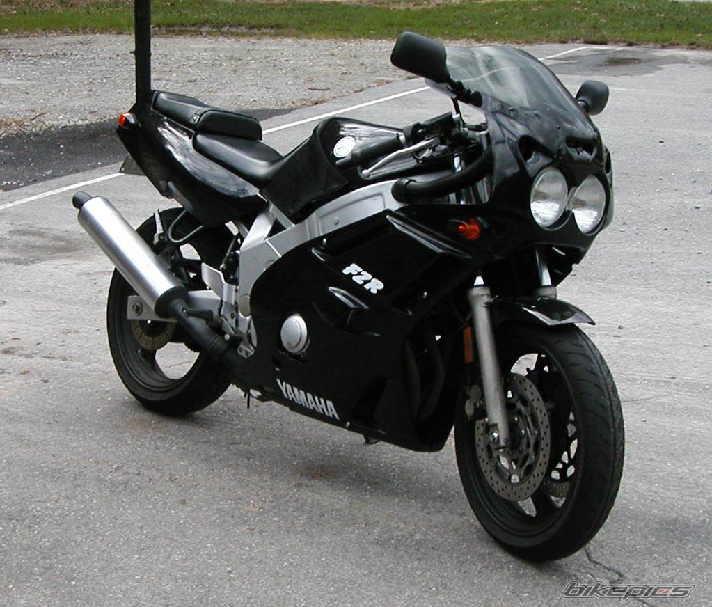 Photo 256679