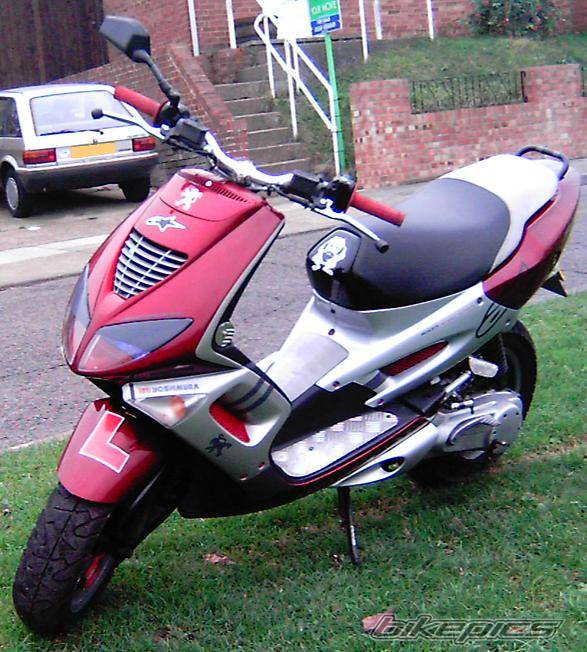 Photo 256691