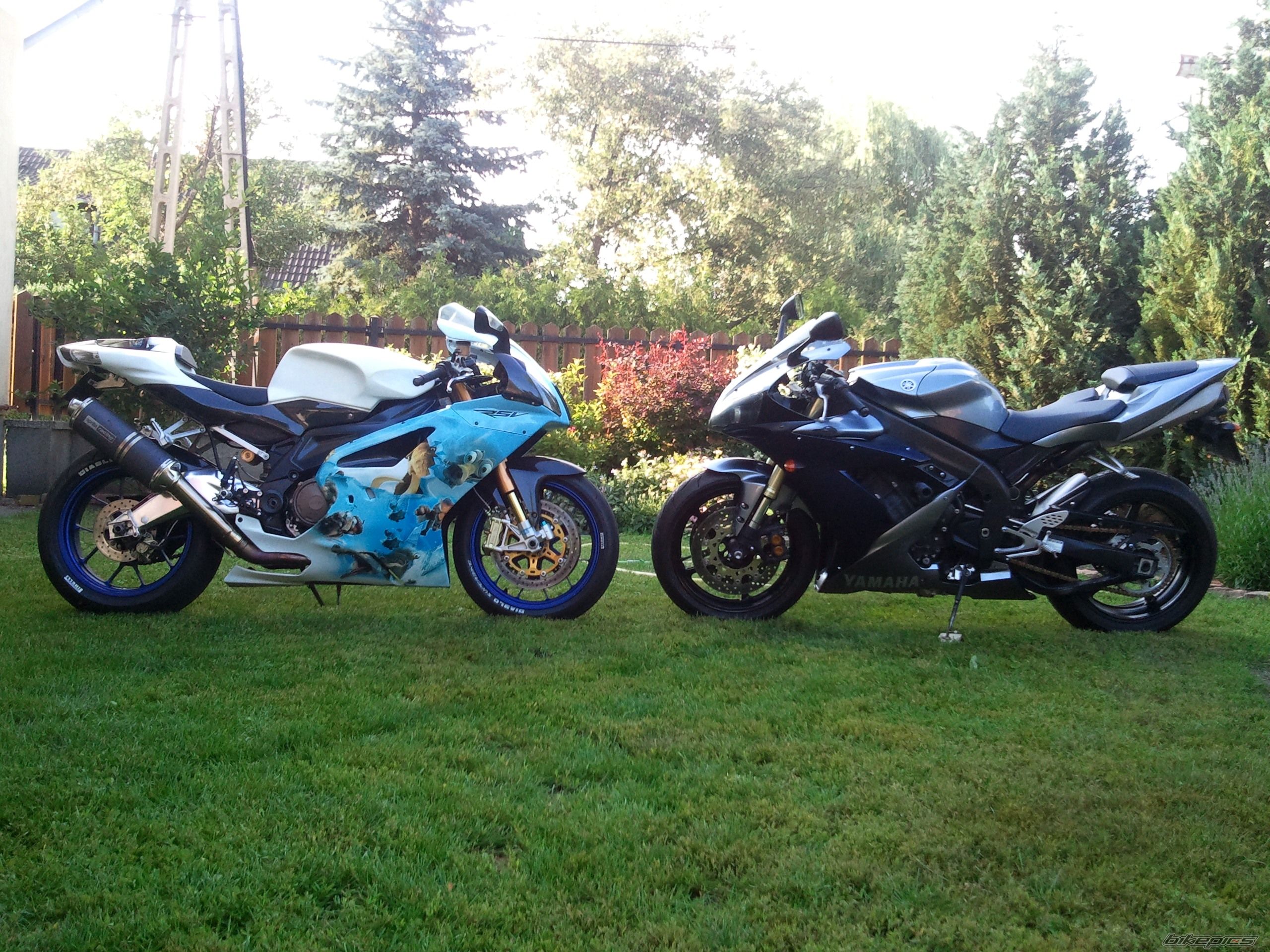 Photo 2566947