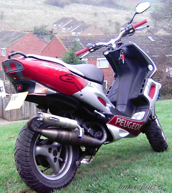 Photo 256695