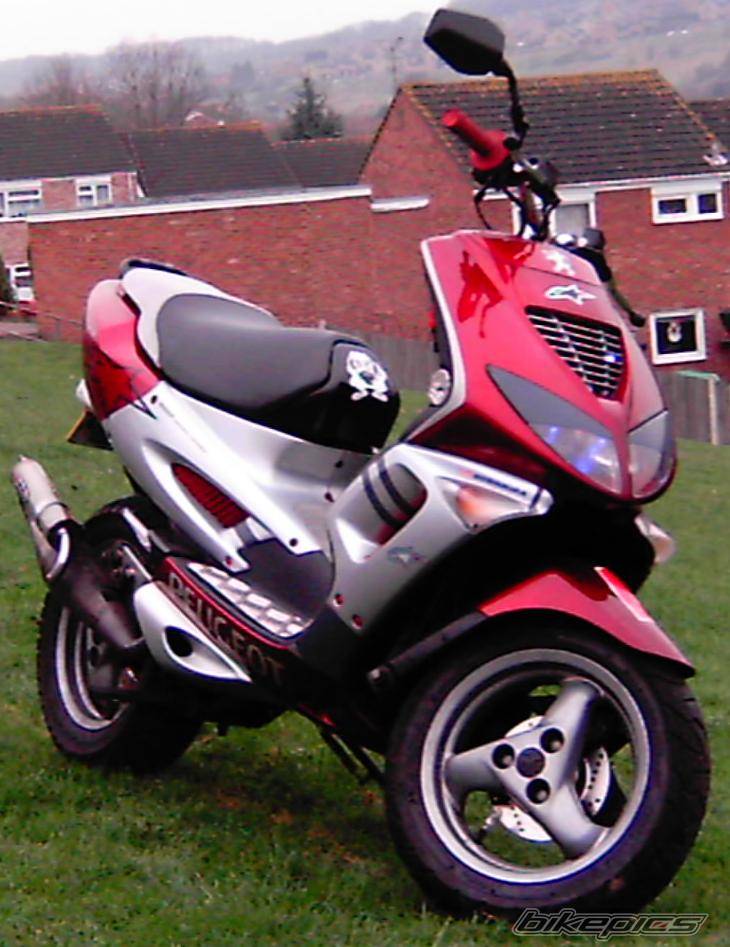 Photo 256696