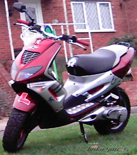 Photo 256697