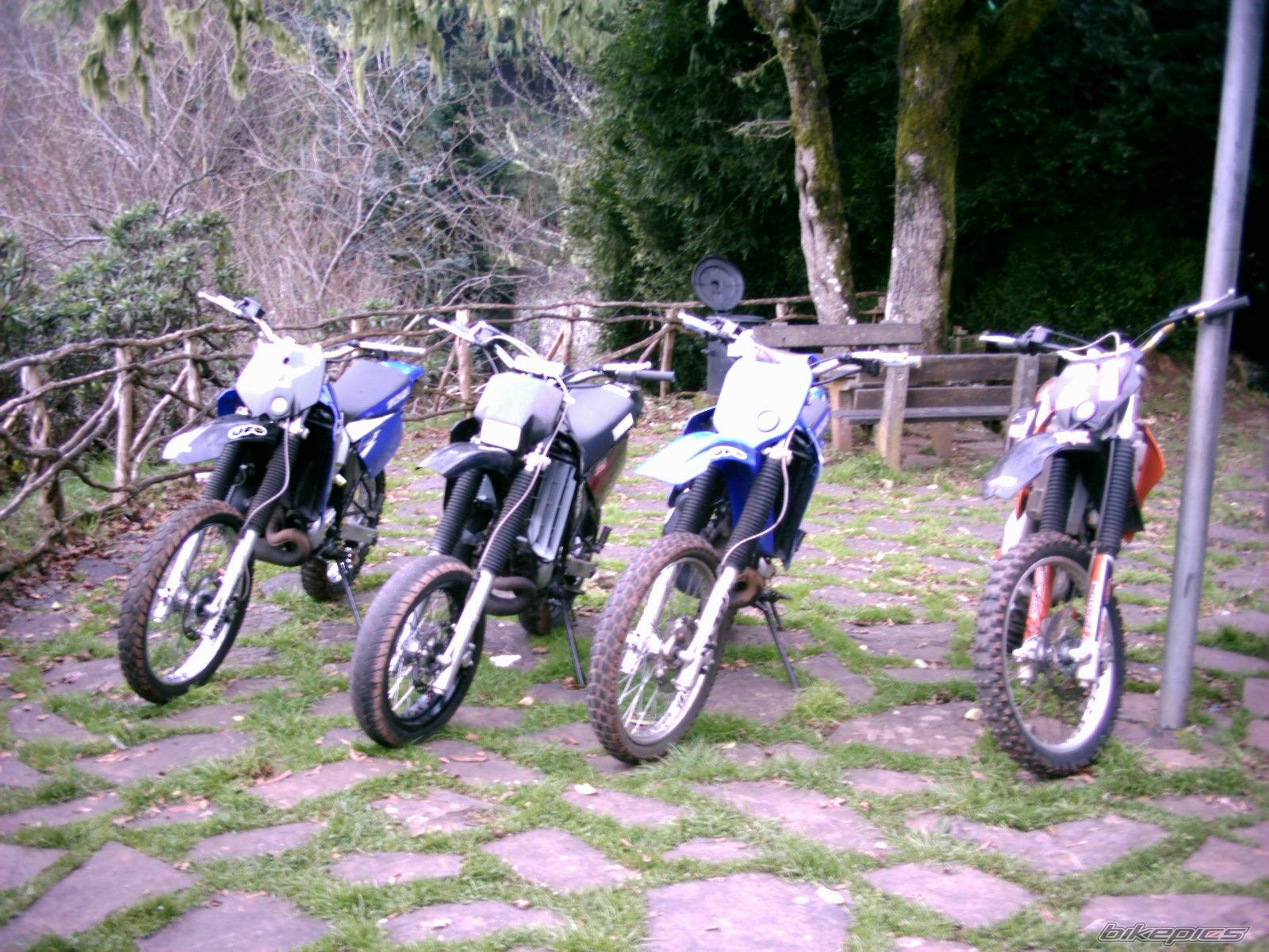 Photo 256702