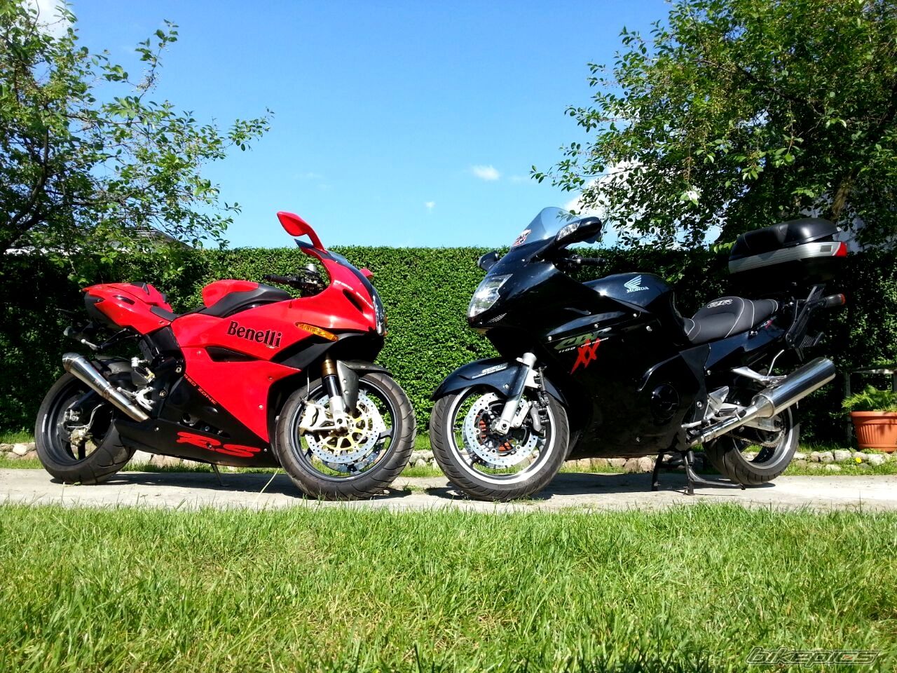 Photo 2567098