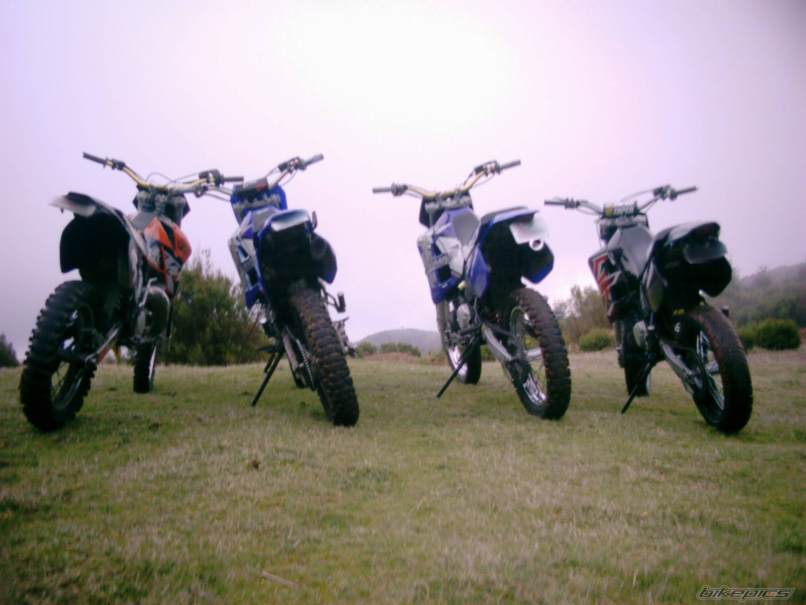 Photo 256710