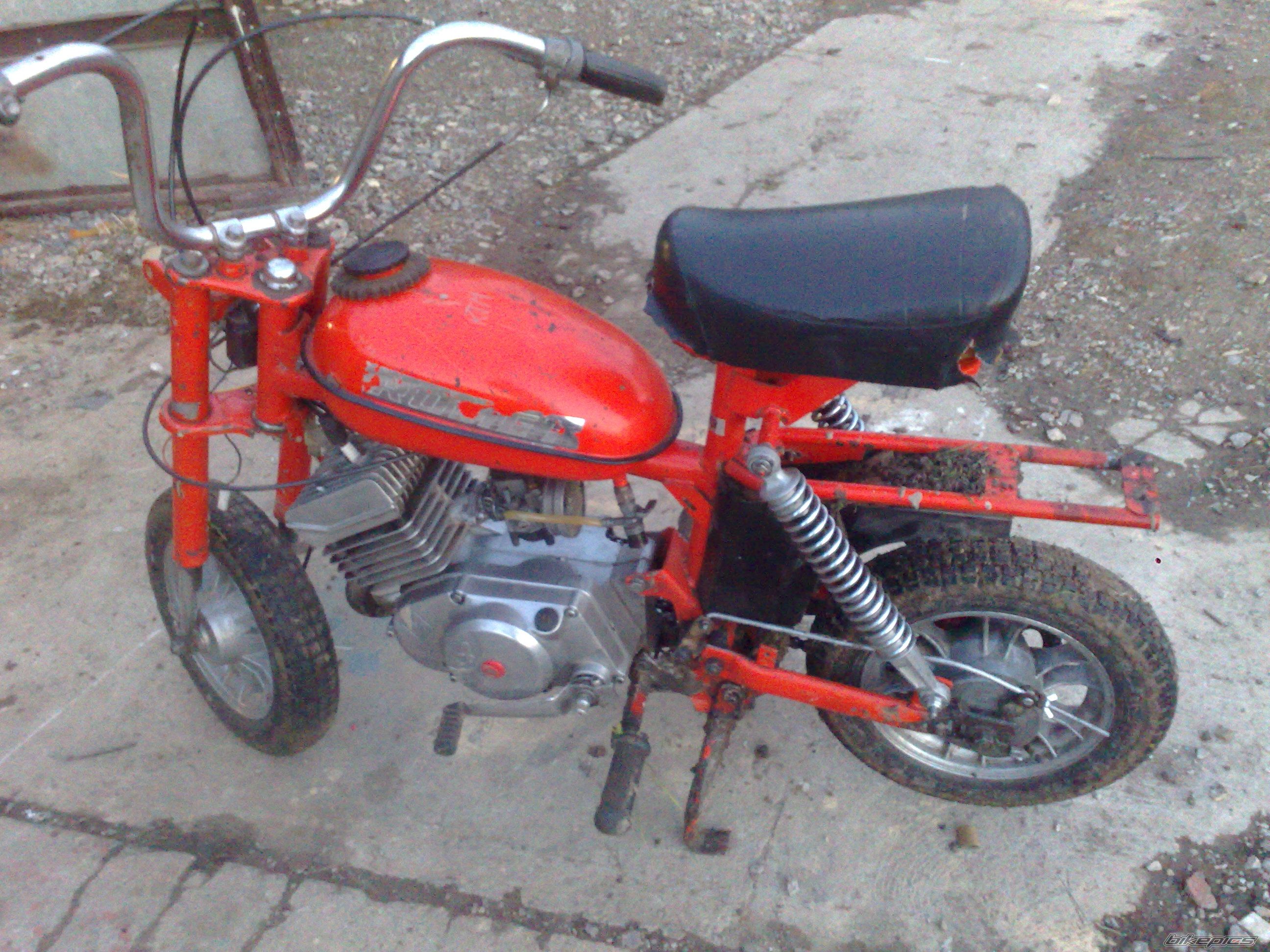 Photo 2567145