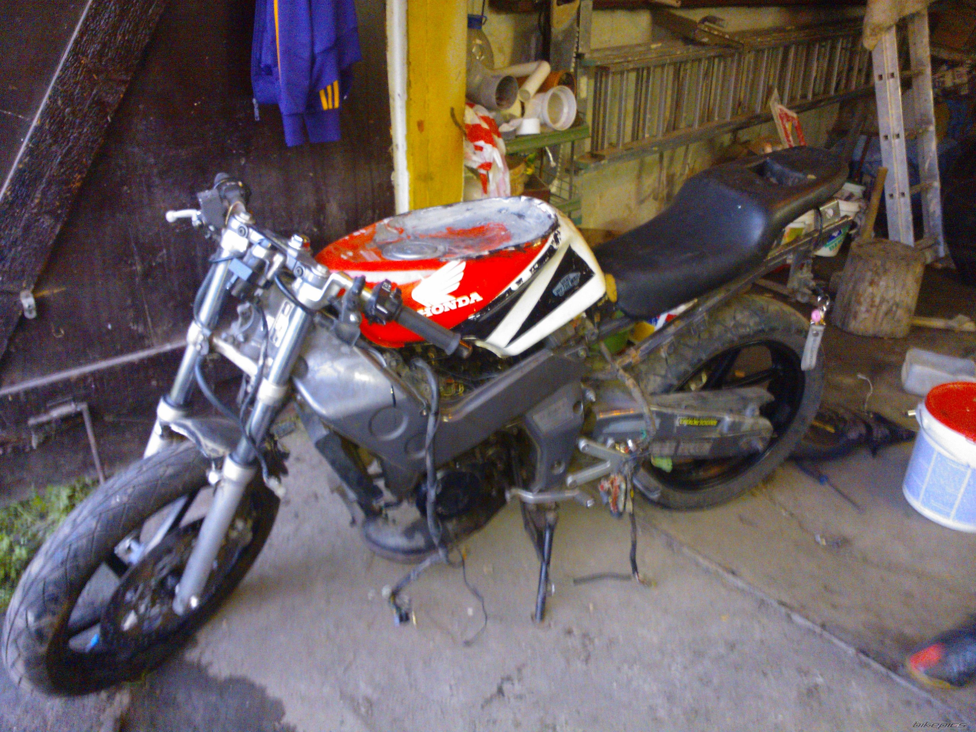 Photo 2567184