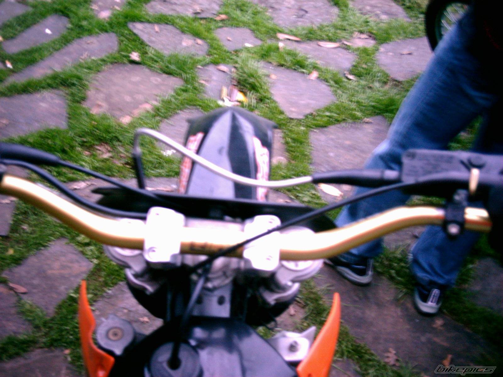 Photo 256724