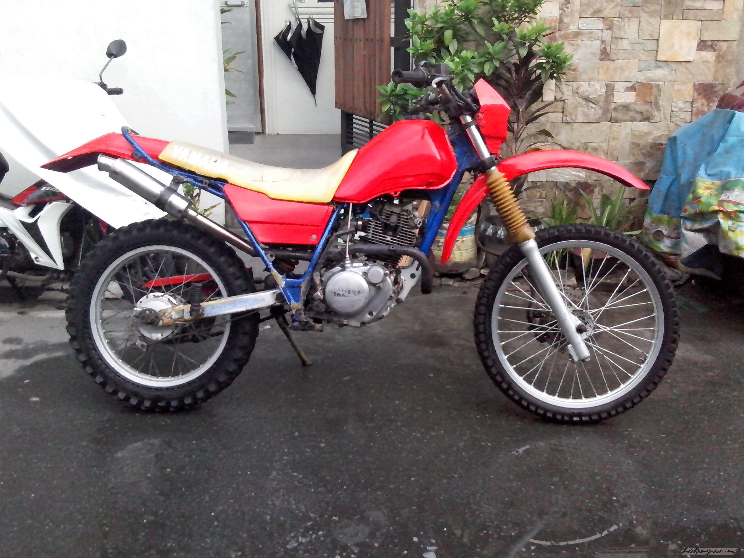 Photo 2567243