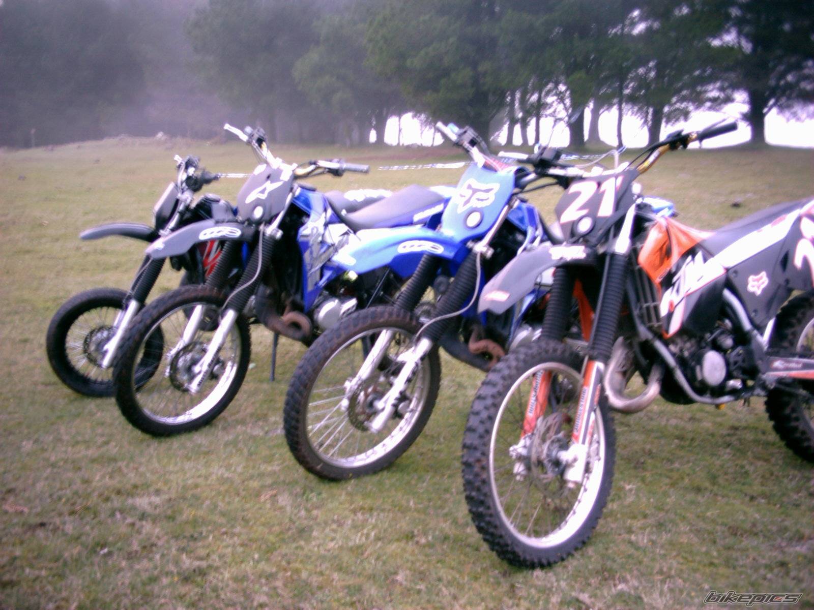 Photo 256726
