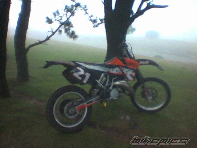 Photo 256727