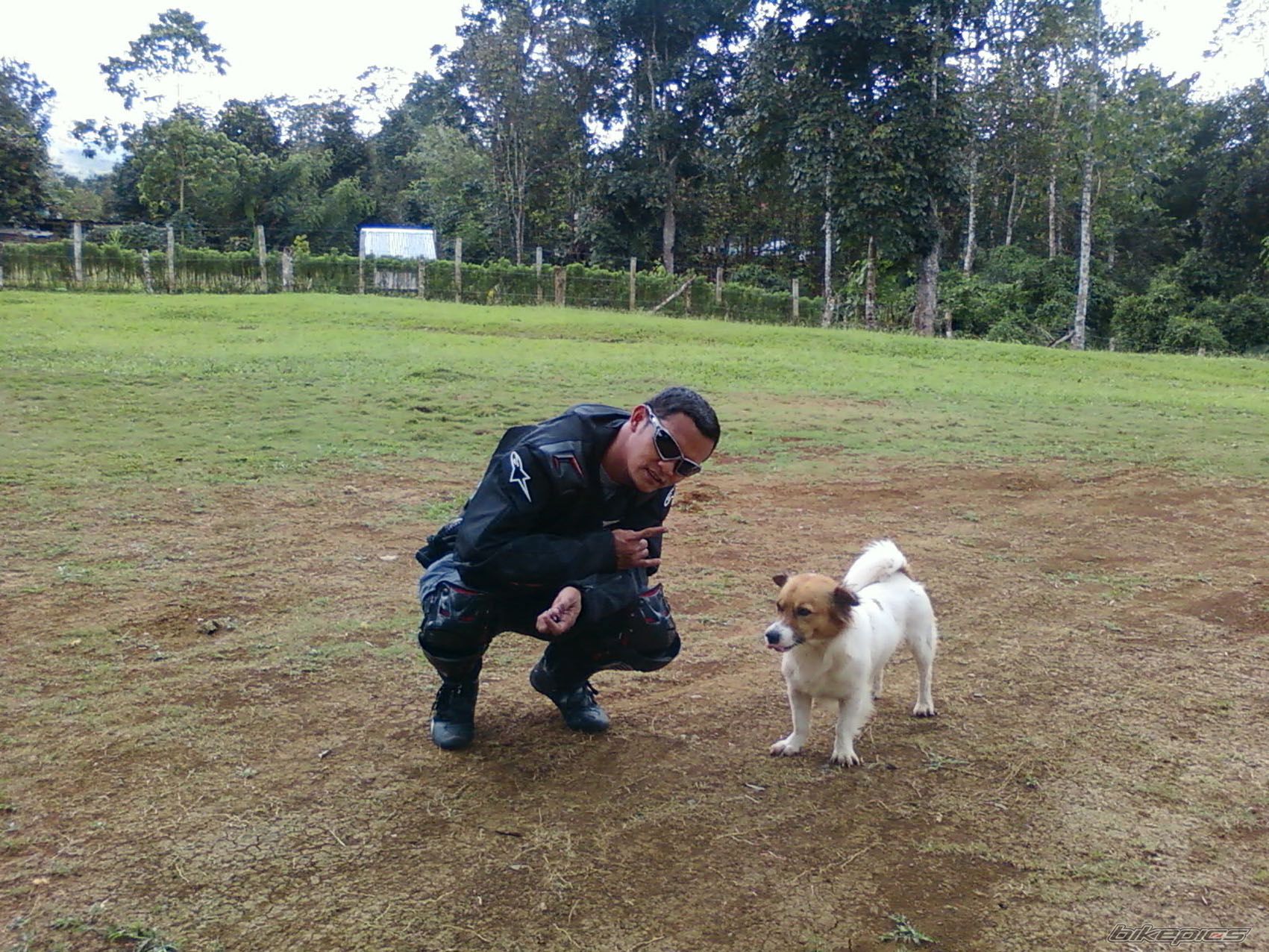 Photo 2567273