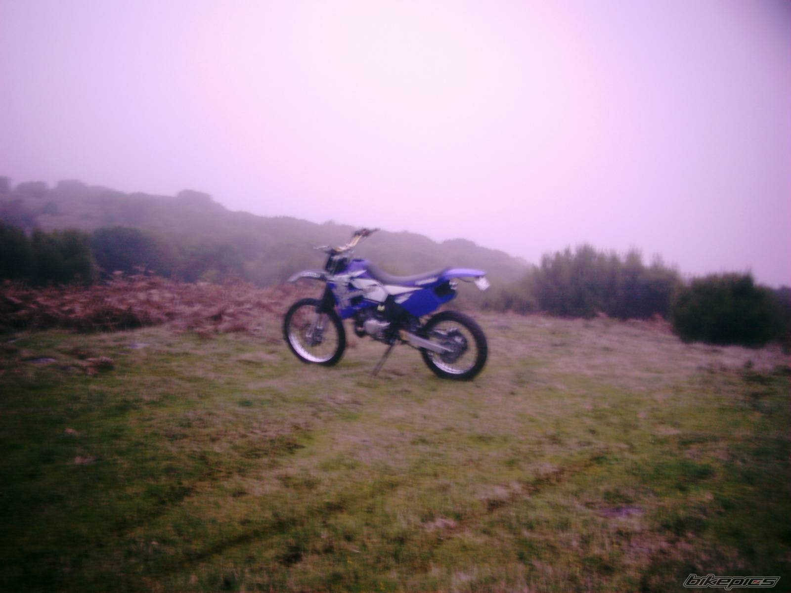 Photo 256730