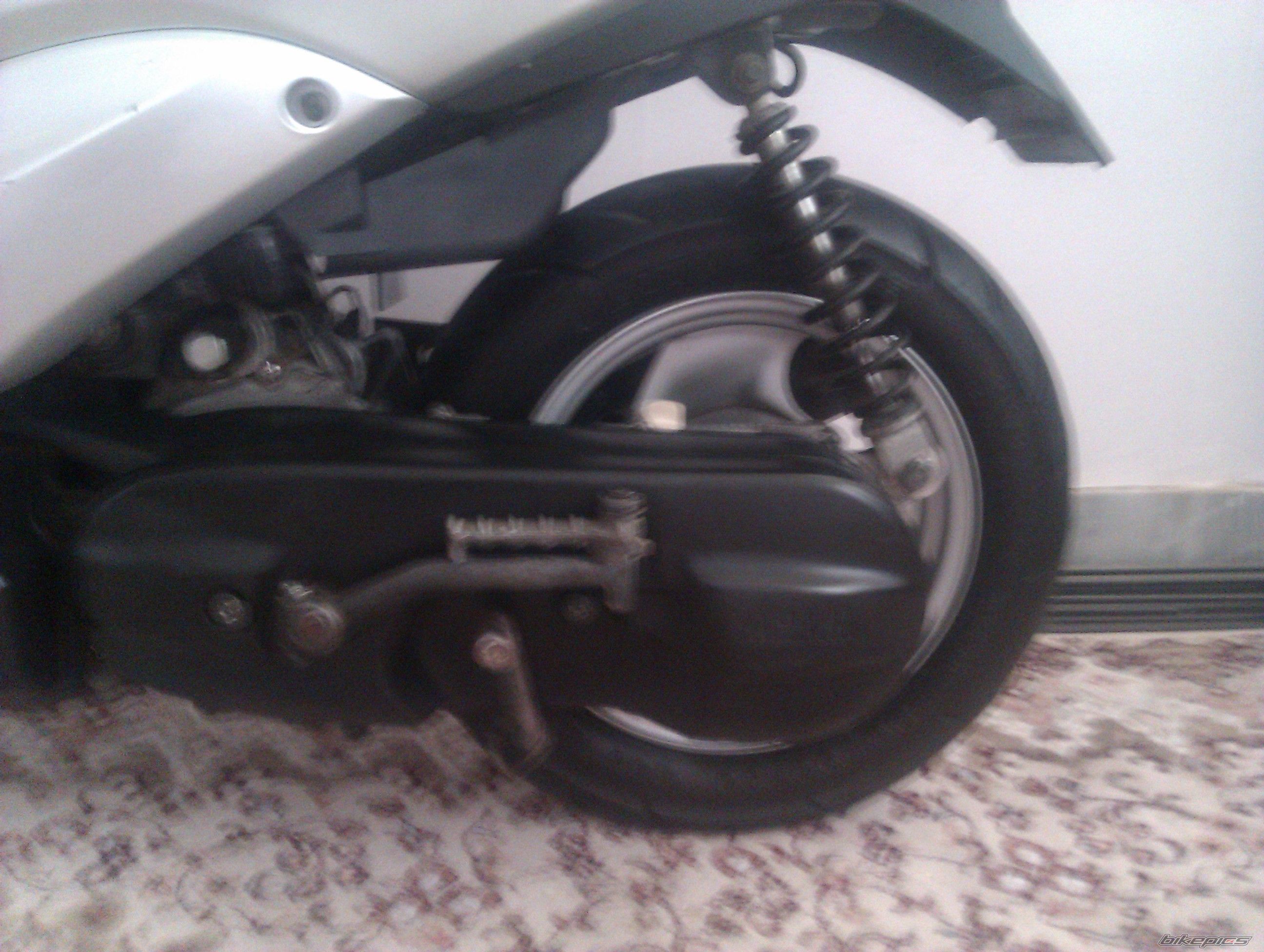 Photo 2567313