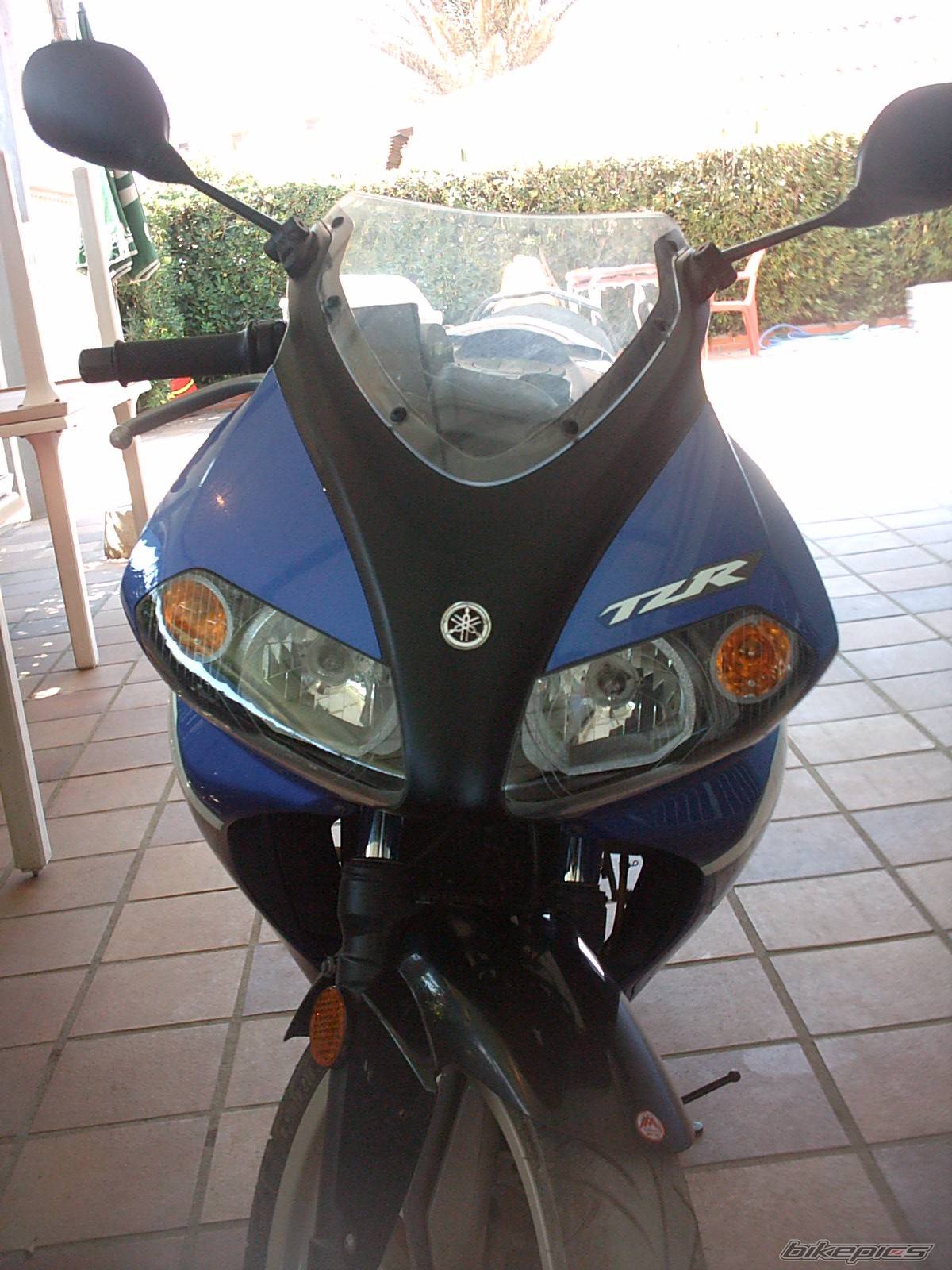 Photo 256732
