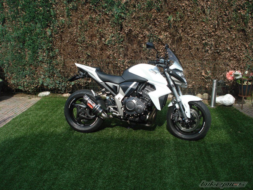 Photo 2567326