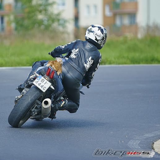 Photo 2567354